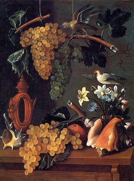 Flowers and Shells, Juan de  Espinosa